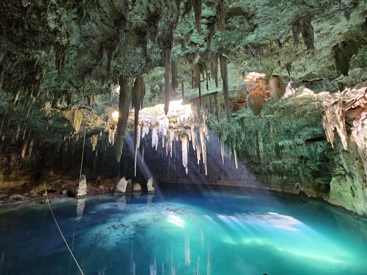 Crystal clear cenote water surrounded by lush vegetation
