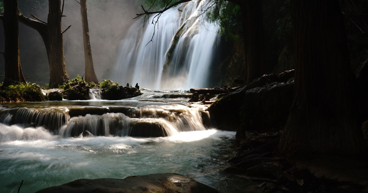 Chiapas with Kids: Waterfalls, Ancient Ruins, and the Wild Side of Mexico Your Family Will Never Forget