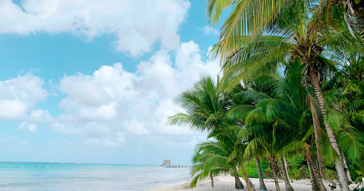 The Ultimate Family Guide to Cozumel with Kids: Snorkeling, Ruins, and Island Magic