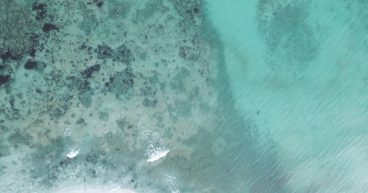 Playa del Carmen with Kids: The Riviera Maya Family Hub