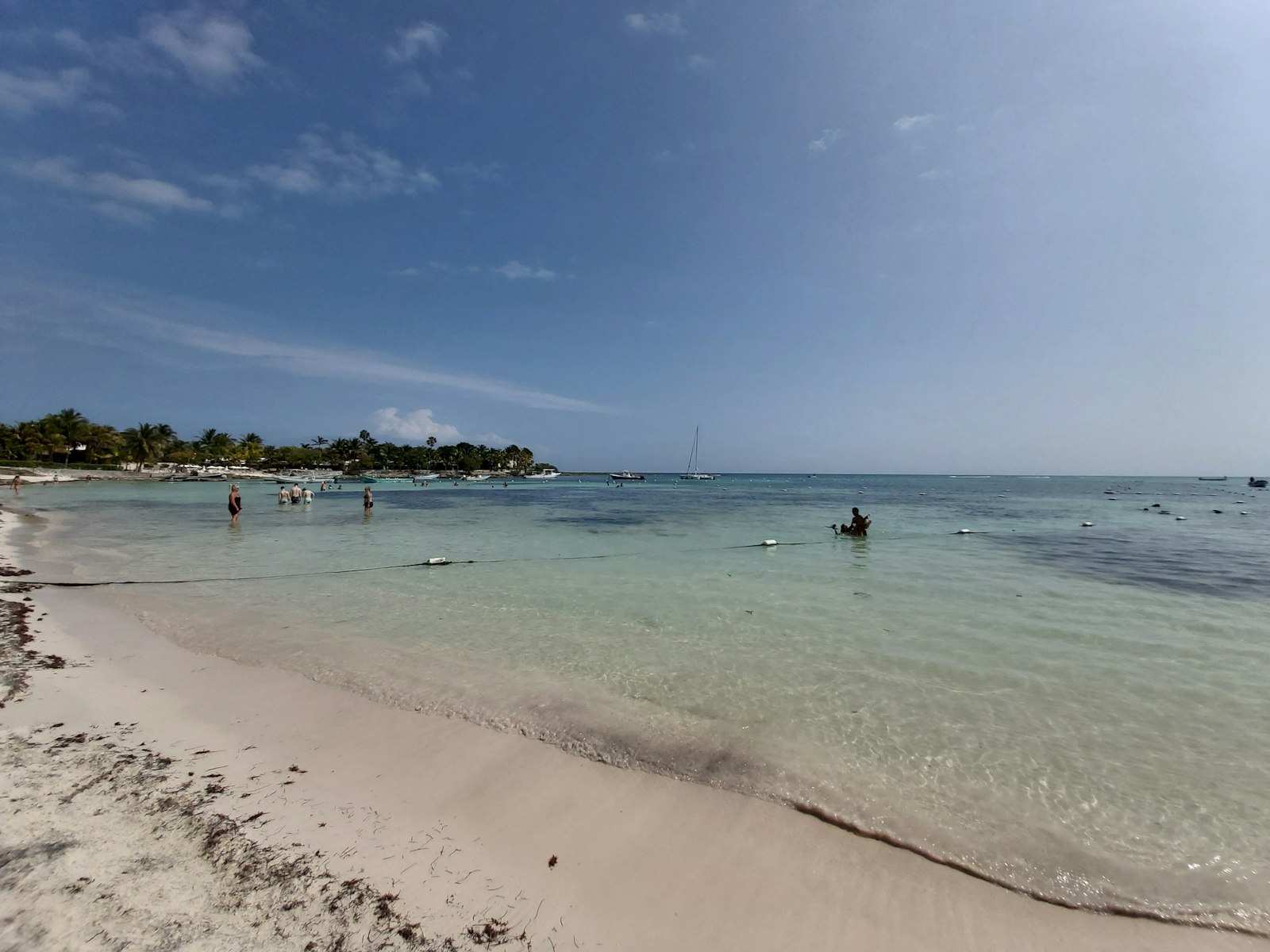 Akumal with Kids: Where to See Sea Turtles in Mexico's Riviera Maya