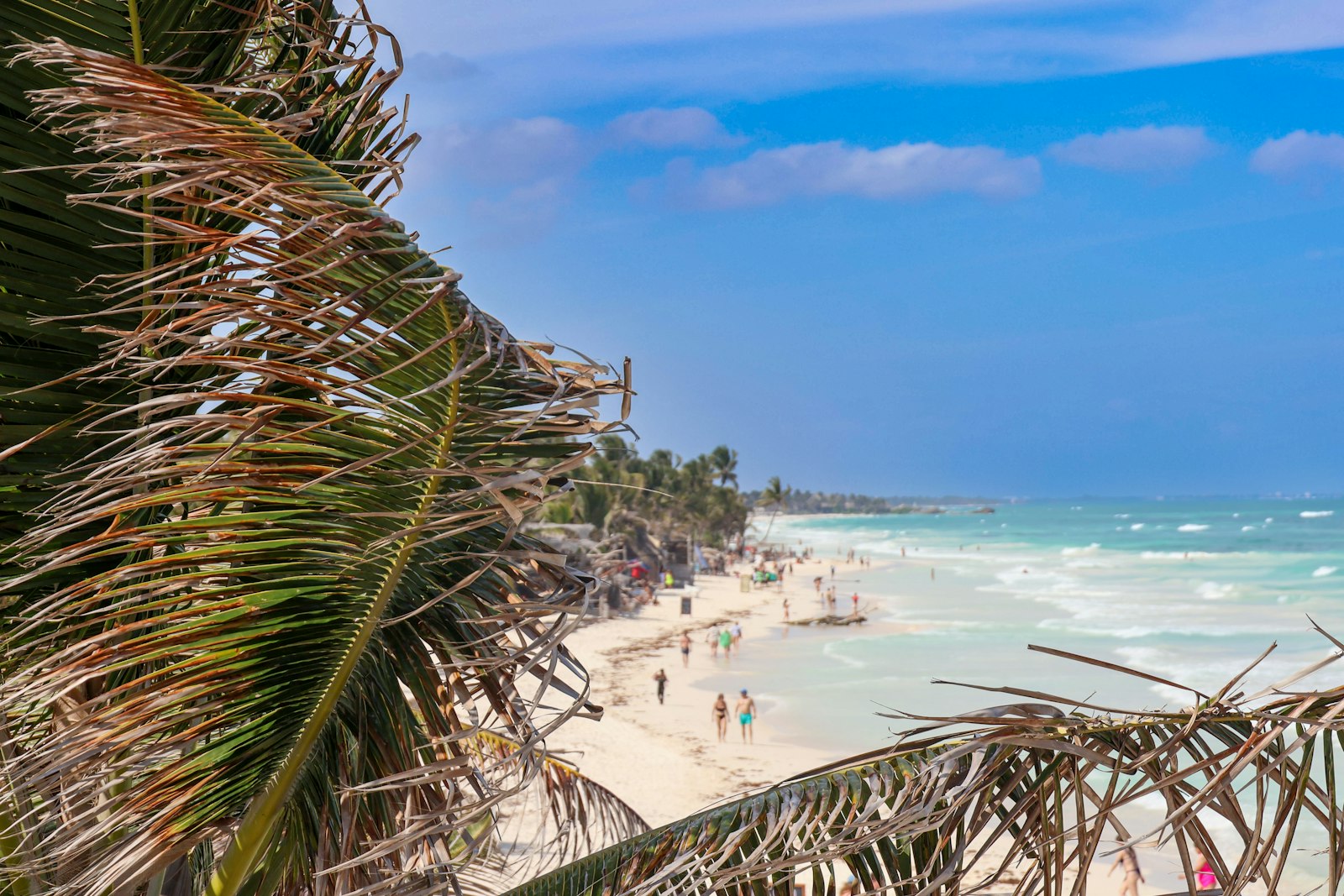 Tulum Girls' Weekend Itinerary: Cenotes, Yoga, and Beach Clubs