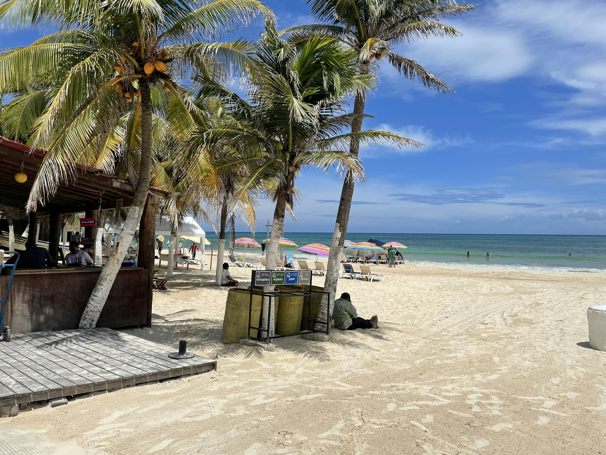 Playa del Carmen Seaweed: How to Plan Family Beach Days Around the Sargassum